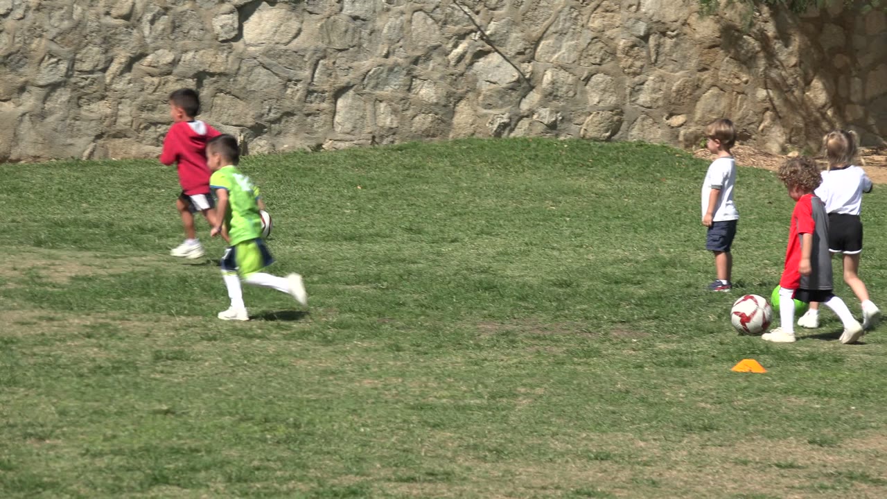 Children on a grass field during soccer practice near a stone wall.