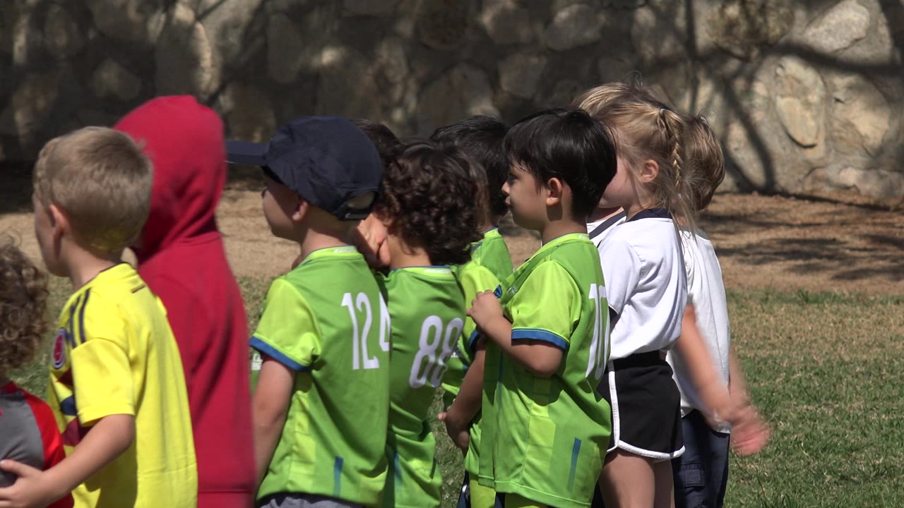 Children in soccer uniforms stand in a row on a grass field.