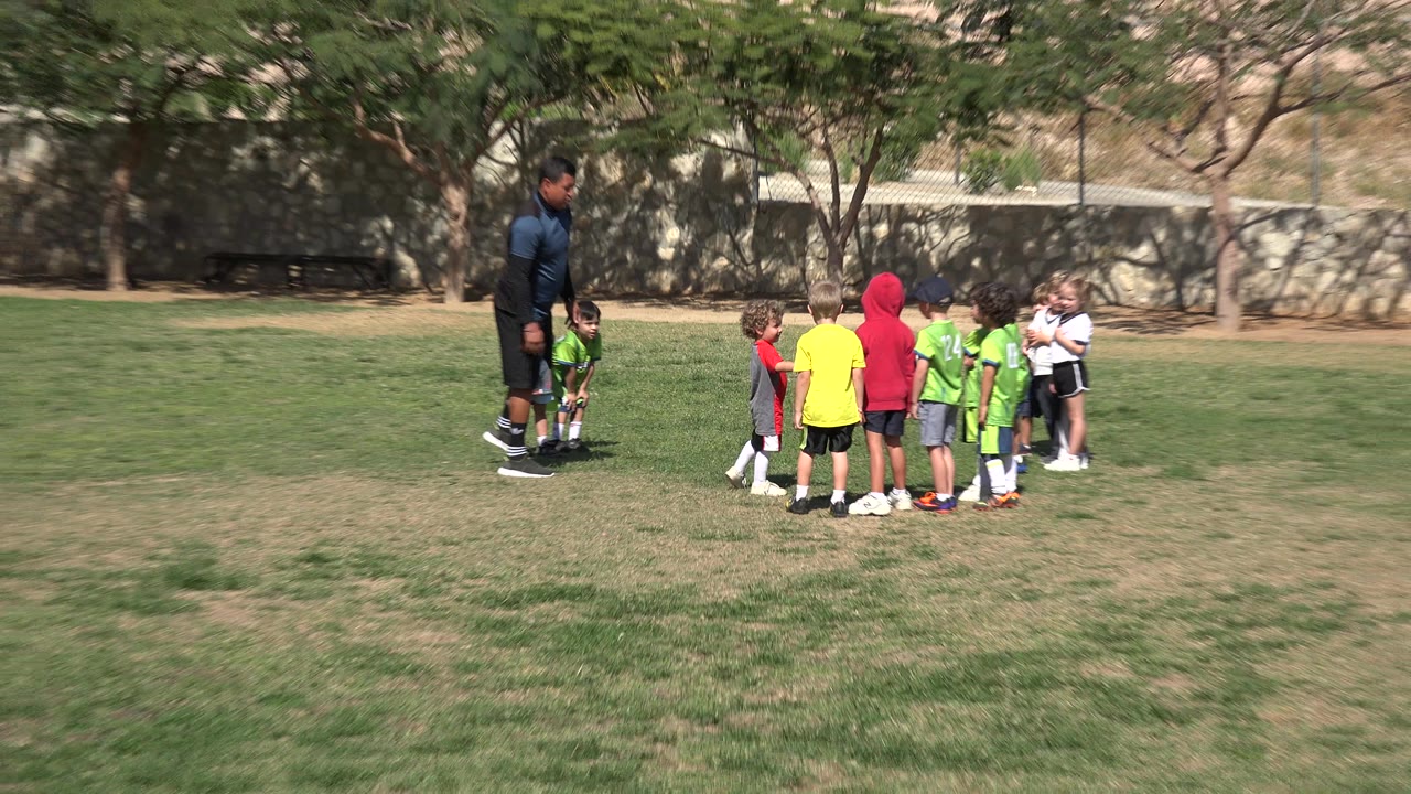 Small children gather around an adult on a grassy soccer field.