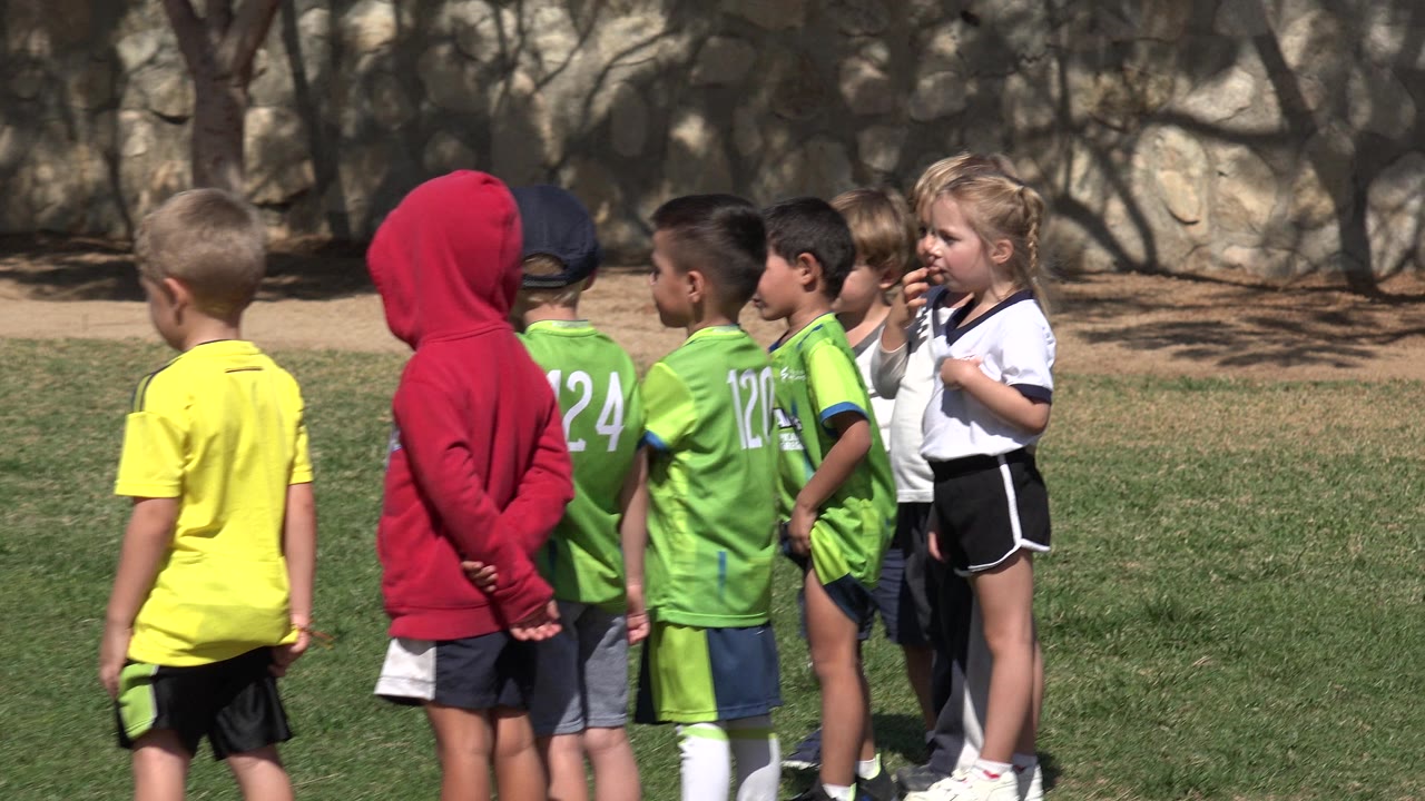 Children in soccer uniforms standing on a grass field.