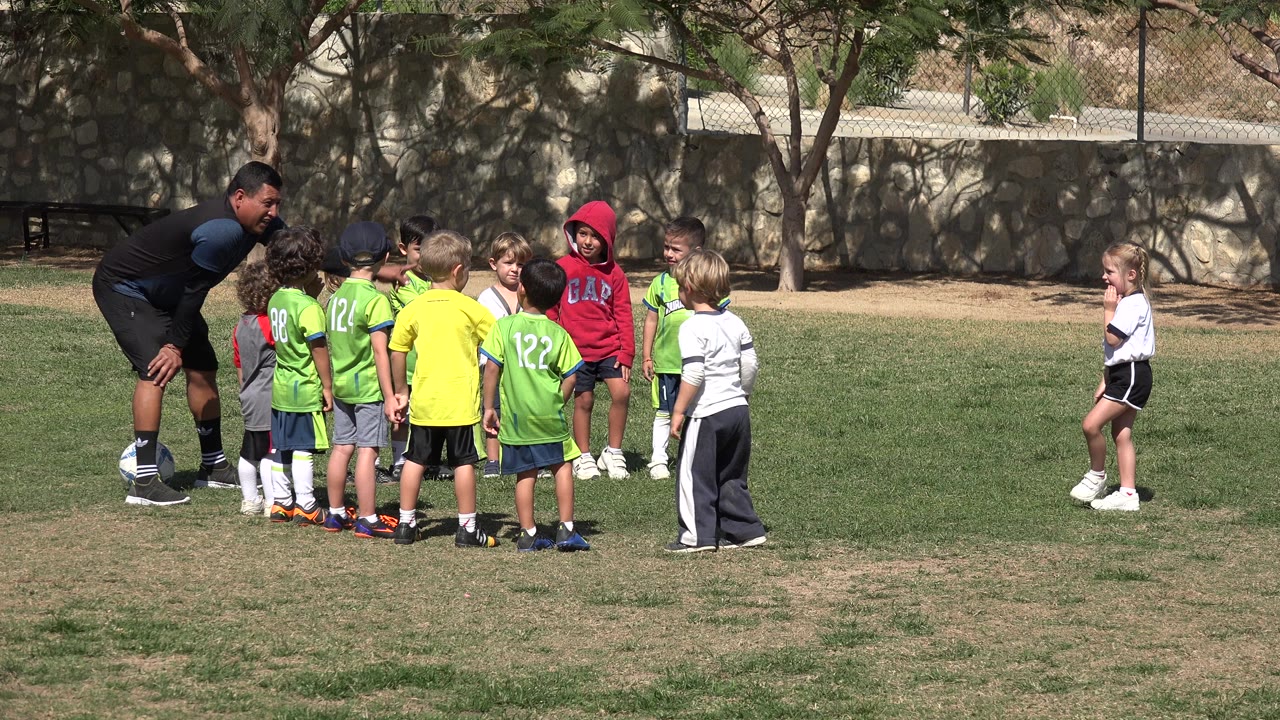 Coach gathers young soccer players on a grass field.