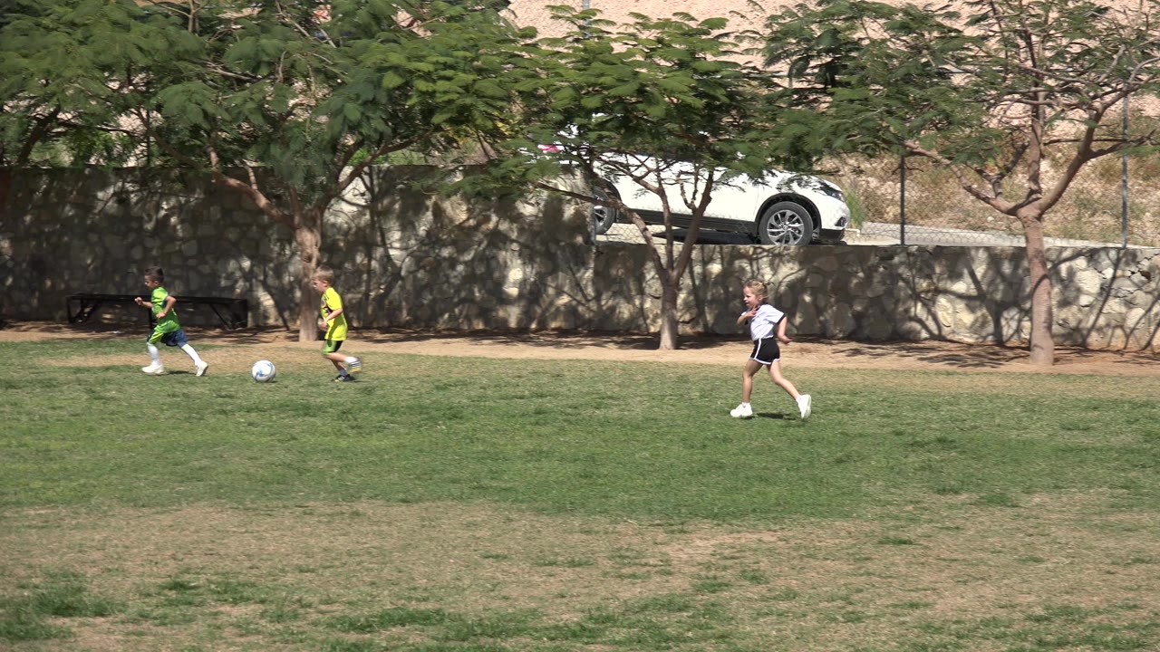 Children playing soccer on a grassy park field.