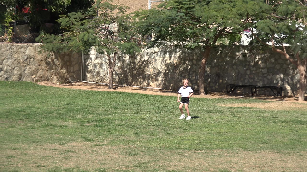 Small girl standing on a grassy lawn near trees and a stone wall.