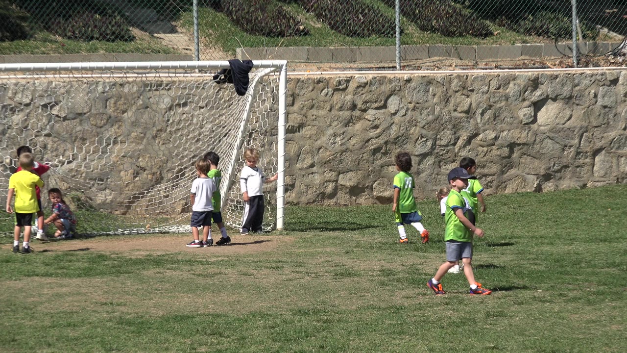 Children standing and walking near a soccer goal on a grass field.