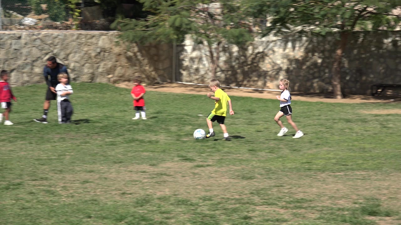 Children and a coach on a grass soccer field with a ball.