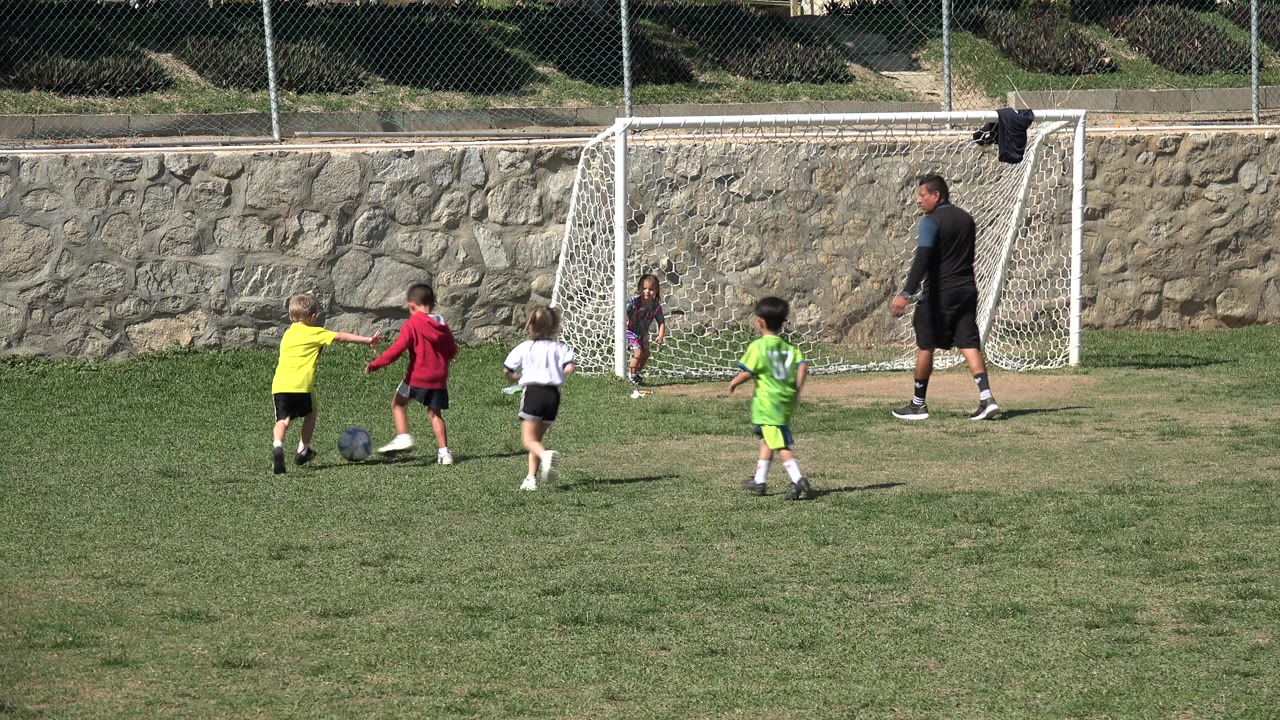 In Los Cabos, children in yellow, red, white, and green soccer shirts gather near a ball on a grass field as a coach stands by a small white goal.