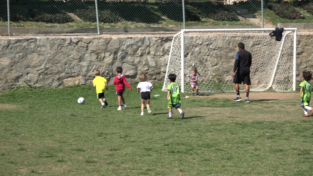 Children chase the soccer ball toward a small goal on a grass field.