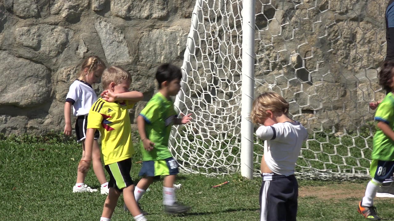 Children stand and walk near a white soccer goal on grass.