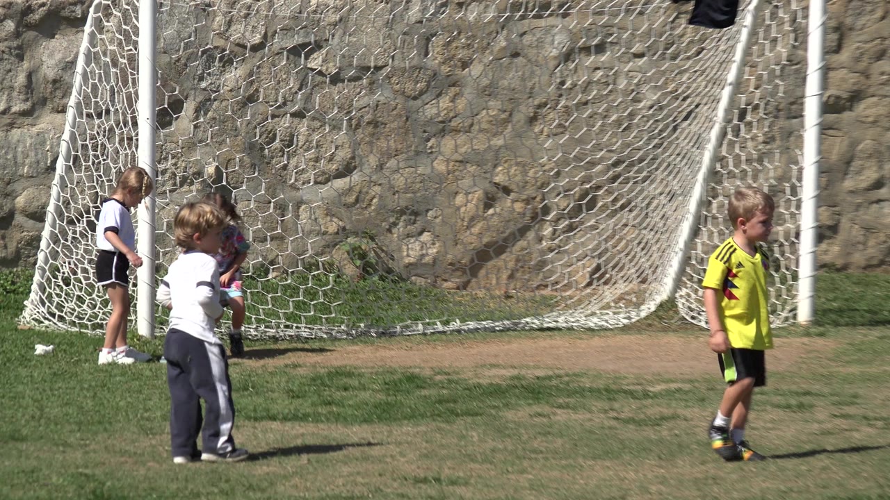 Children standing near a white football goal on a grass field.