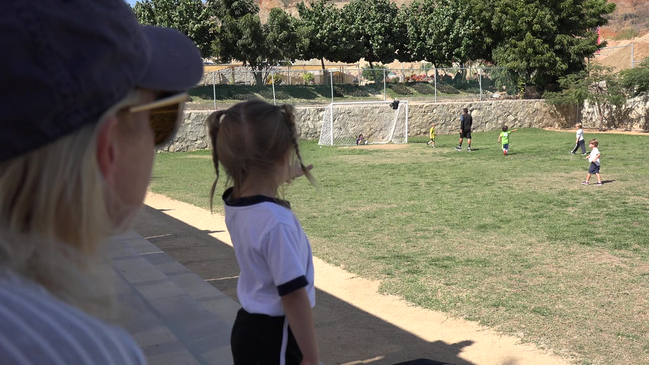 Adult spectator and young girl watch children play soccer on a grassy field.