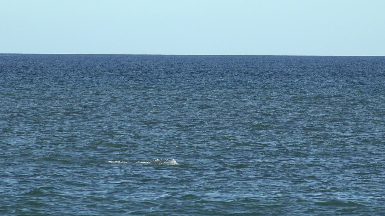 Blue ocean horizon with small white wave breaks