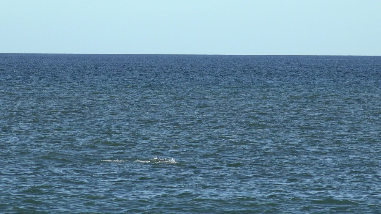 Wide frame of the Los Cabos sea under clear pale light, with darker blue water near the horizon and no visible people.