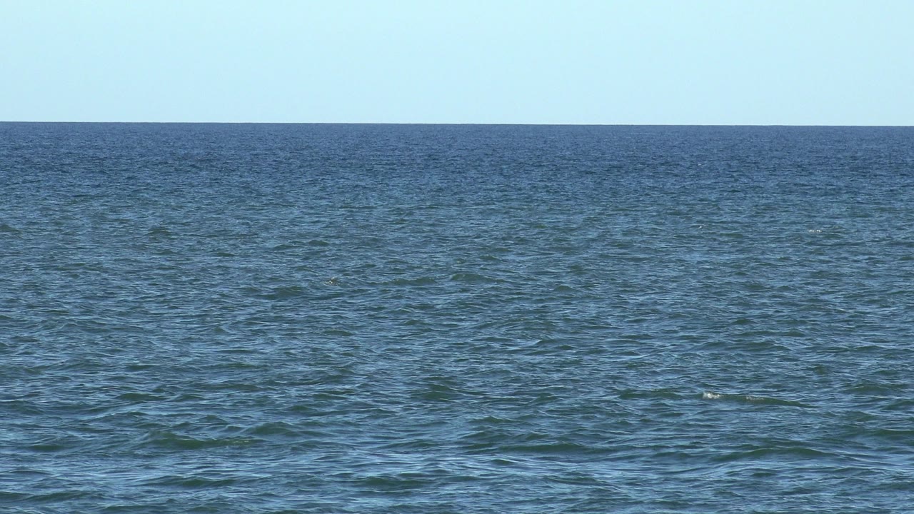 Blue ocean under a pale sky with a level horizon.