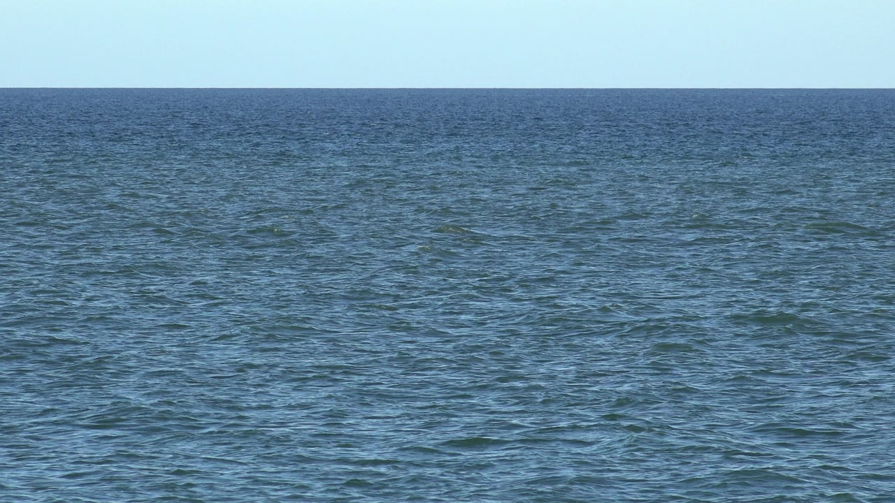 Open blue water with a flat horizon and clear sky.