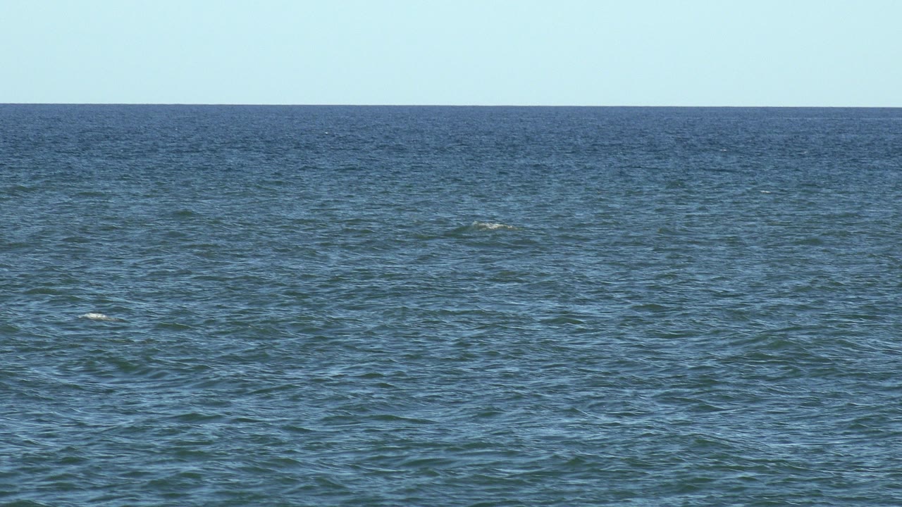 Opening frame of the Los Cabos, Mexico sea view, with rippled blue-green water below a pale blue sky and no visible people.