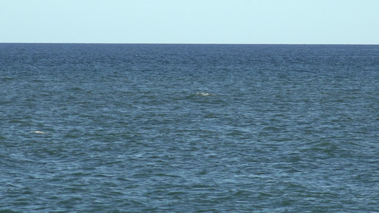 Los Cabos ocean water fills the frame with a narrow strip of pale sky above the distant horizon and no visible people.