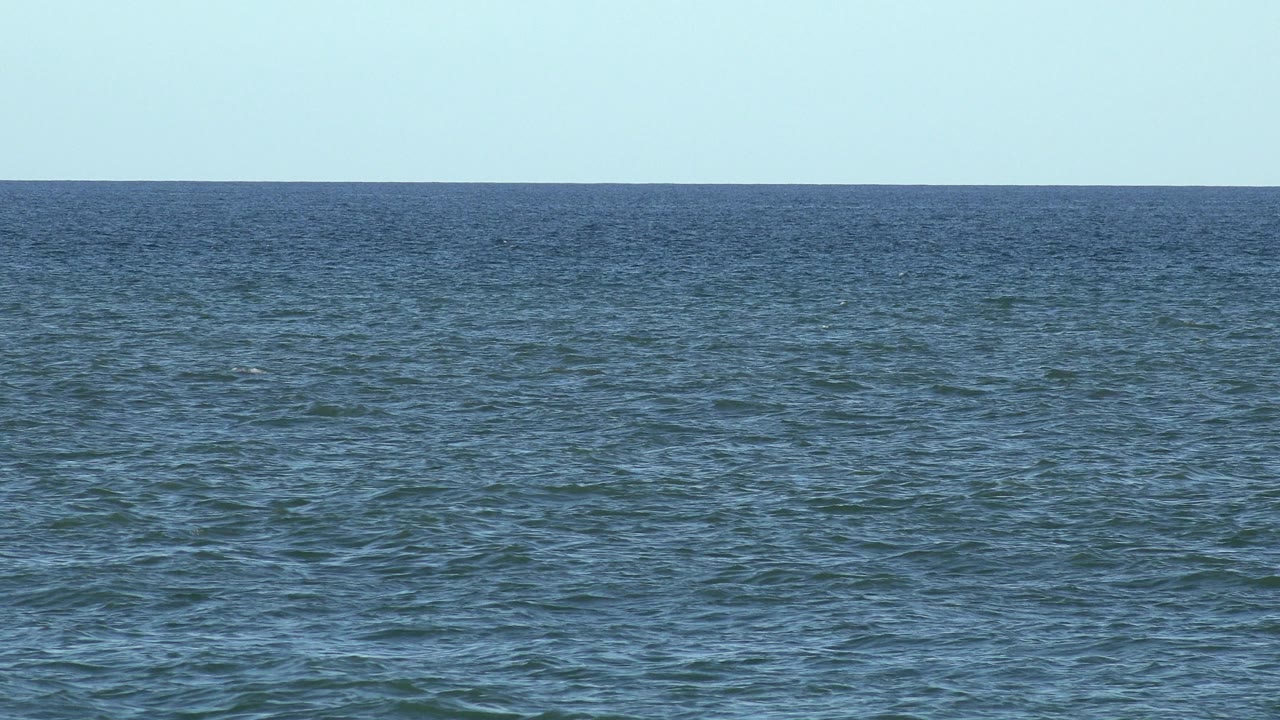 Los Cabos sea surface stretches toward a level horizon, with slightly darker ripples in the midground and no visible people.