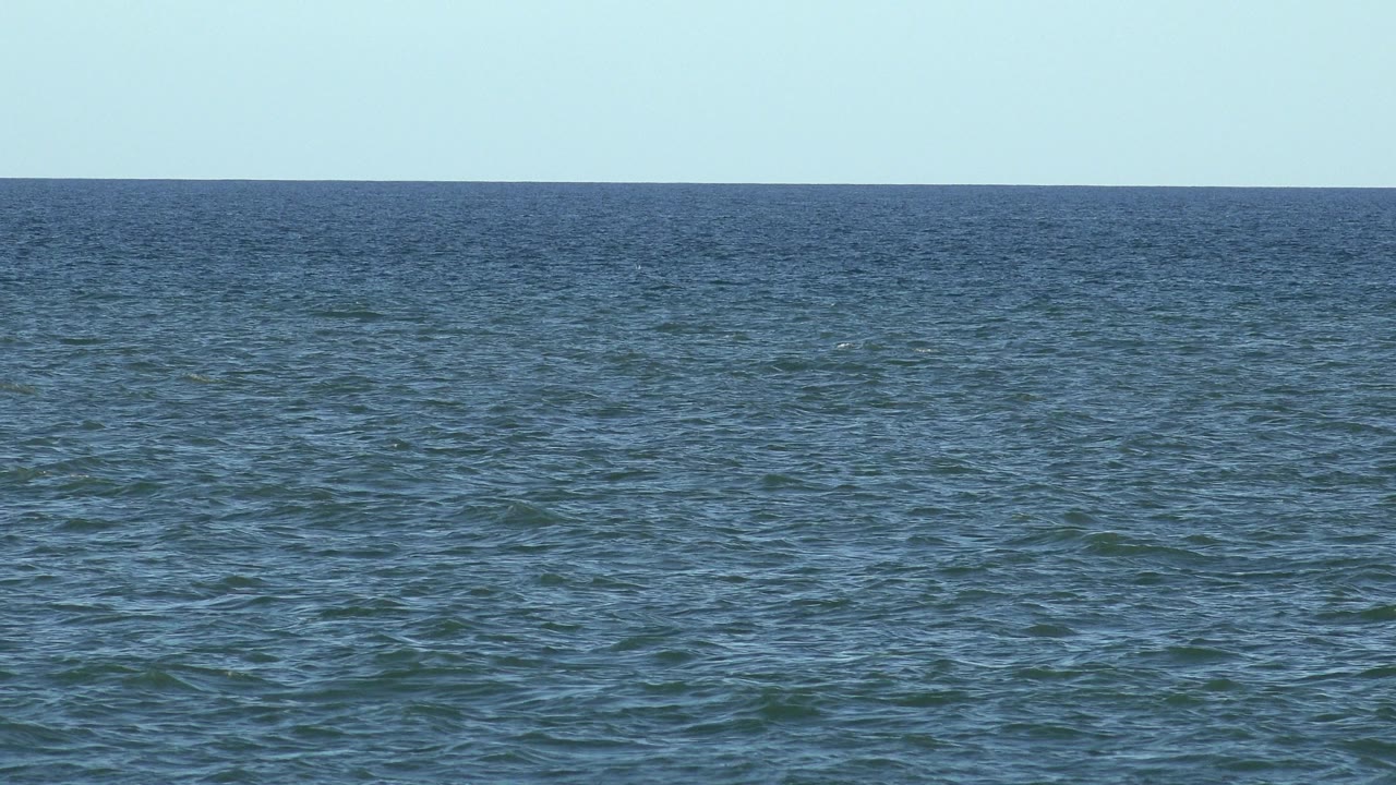 Ocean horizon with choppy ripples and clear sky.