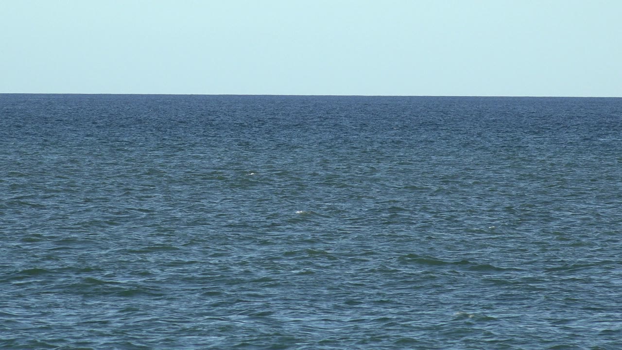 Second frame shows the Los Cabos ocean surface shifted slightly with low ripples, a clean horizon line, and no visible people.