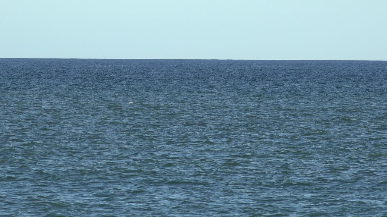 Textured blue sea reaching a flat distant horizon.