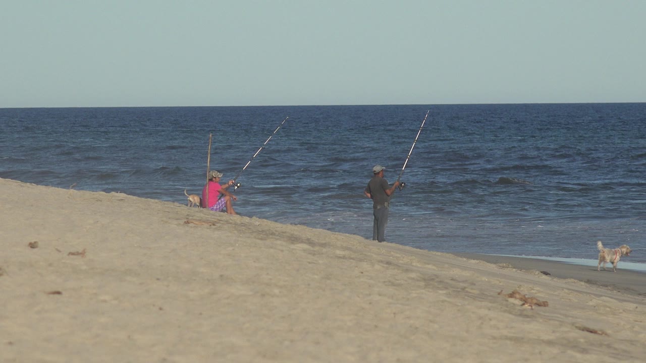 Two people fish on a sandy beach in Los Cabos, Mexico, with one person standing near the waterline, another seated farther back, and a small dog at the right edge.