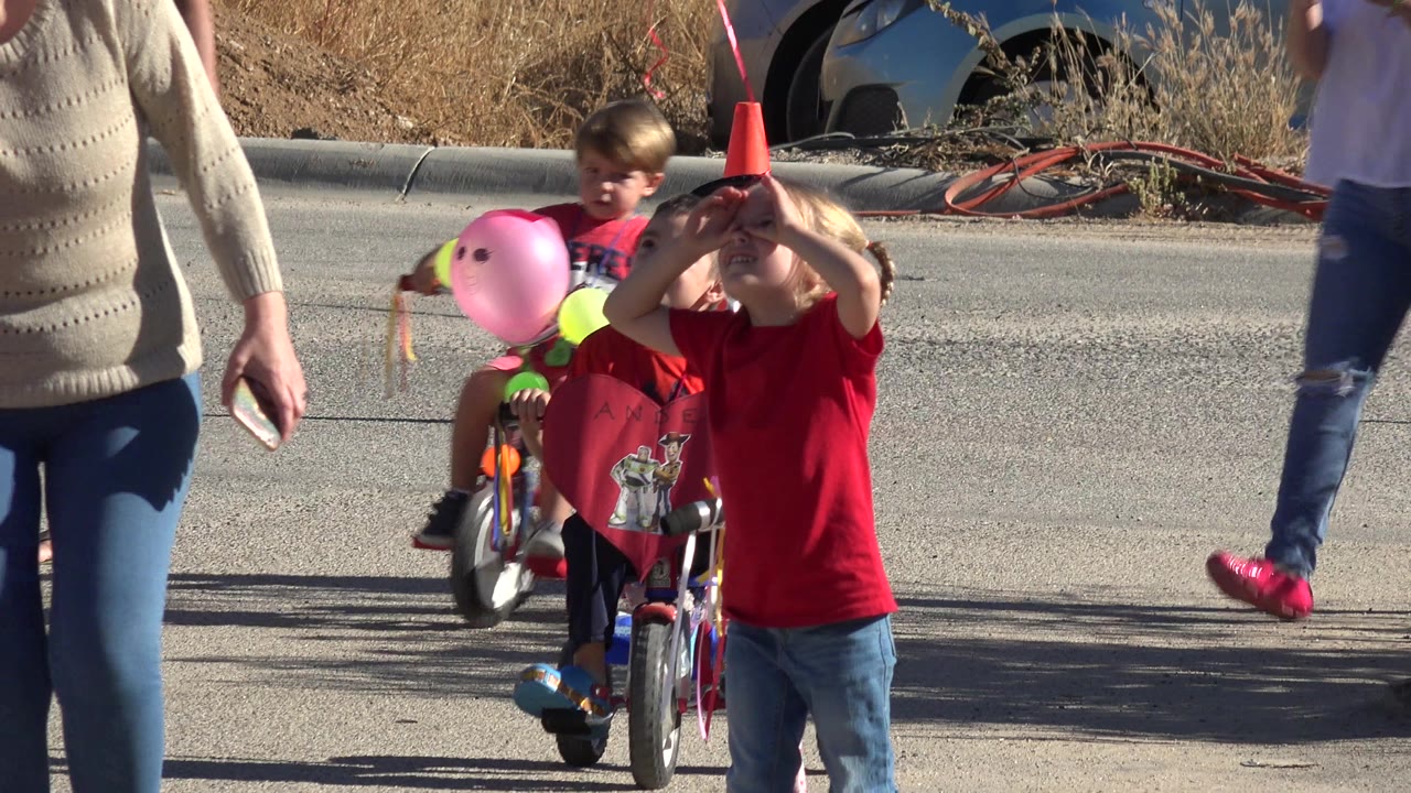Children on small bicycles with adults walking nearby on a sunny road.