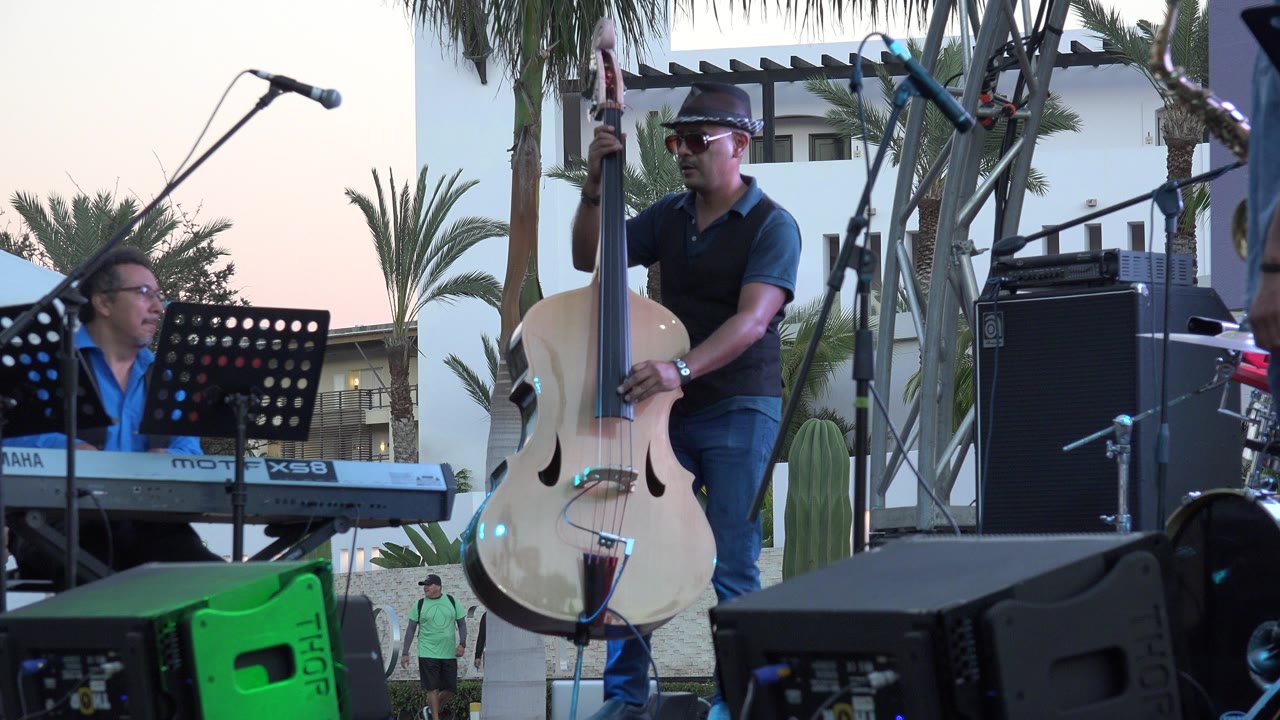 Keyboardist and upright bass player on an outdoor stage.