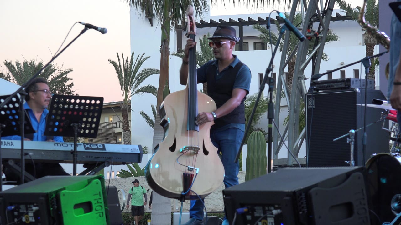 A Los Cabos outdoor stage frames the keyboardist at left and upright bass player at center, with a microphone overhead, stage speakers in front, and palm trees behind.