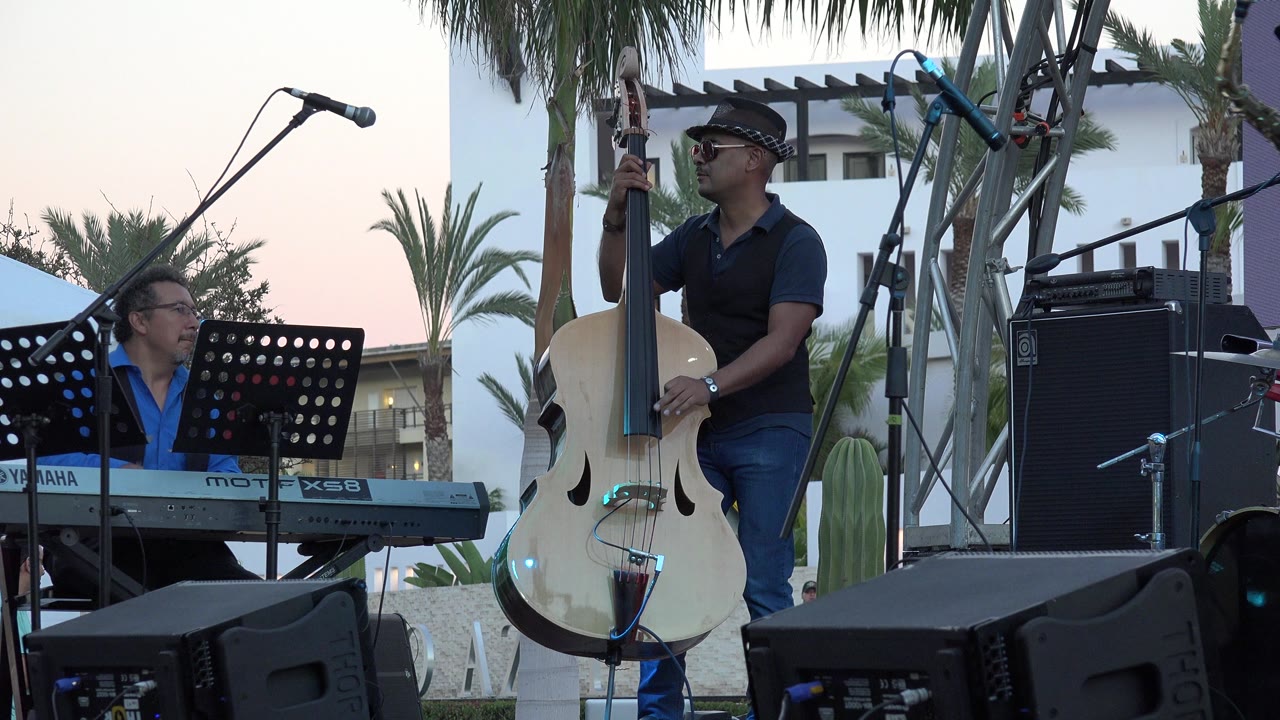 Keyboardist and upright bass player on an outdoor stage.