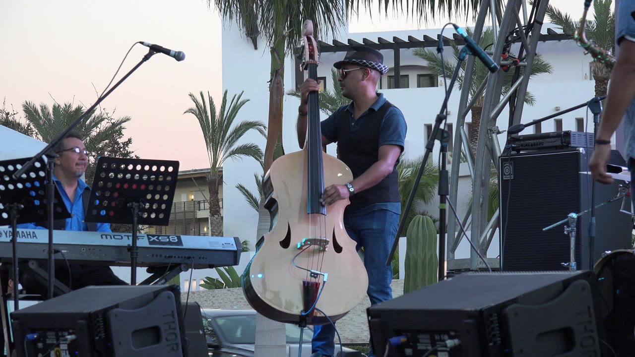Bassist and keyboardist on an outdoor stage