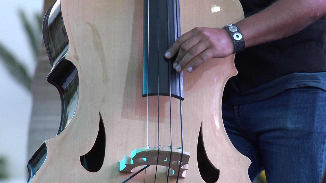 Pale cello body with curved sound holes and player's torso.