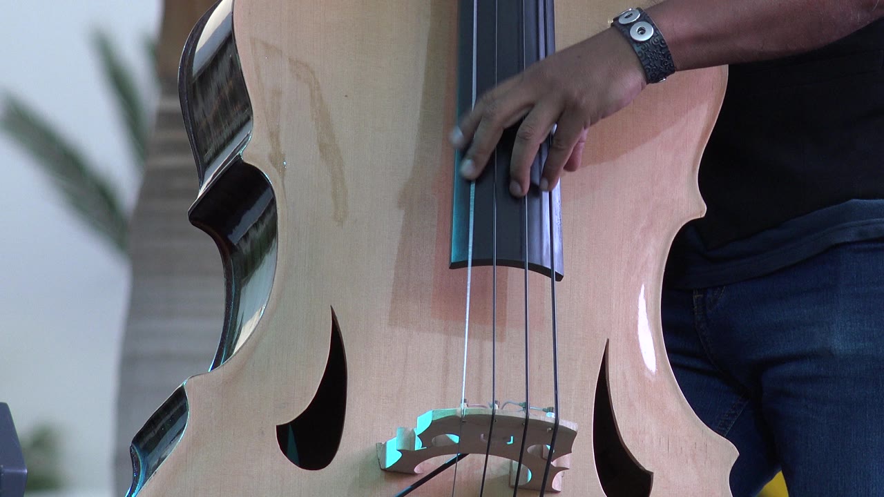 Close view of an upright bass with a hand near the strings.