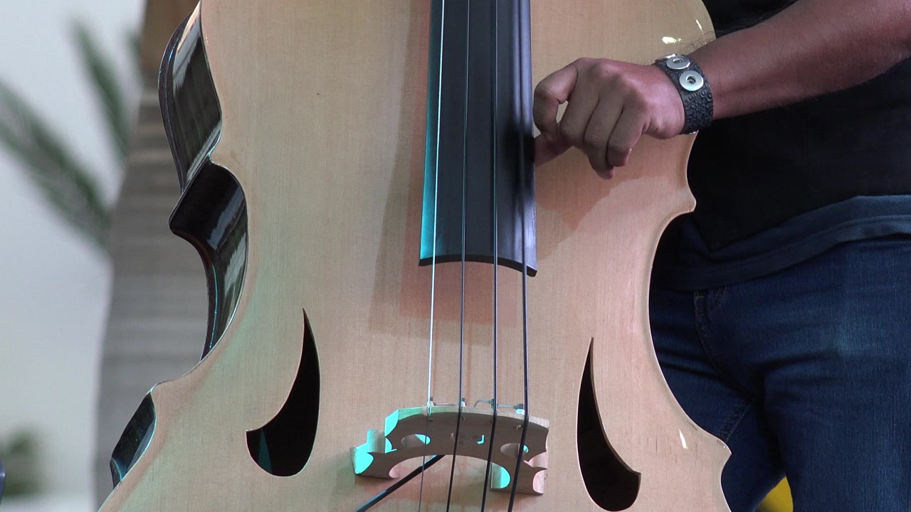 Close-up of a light wood double bass in Los Cabos, Mexico, with strings, bridge area, black fingerboard, and a musician's hand and wrist at the side of the instrument.