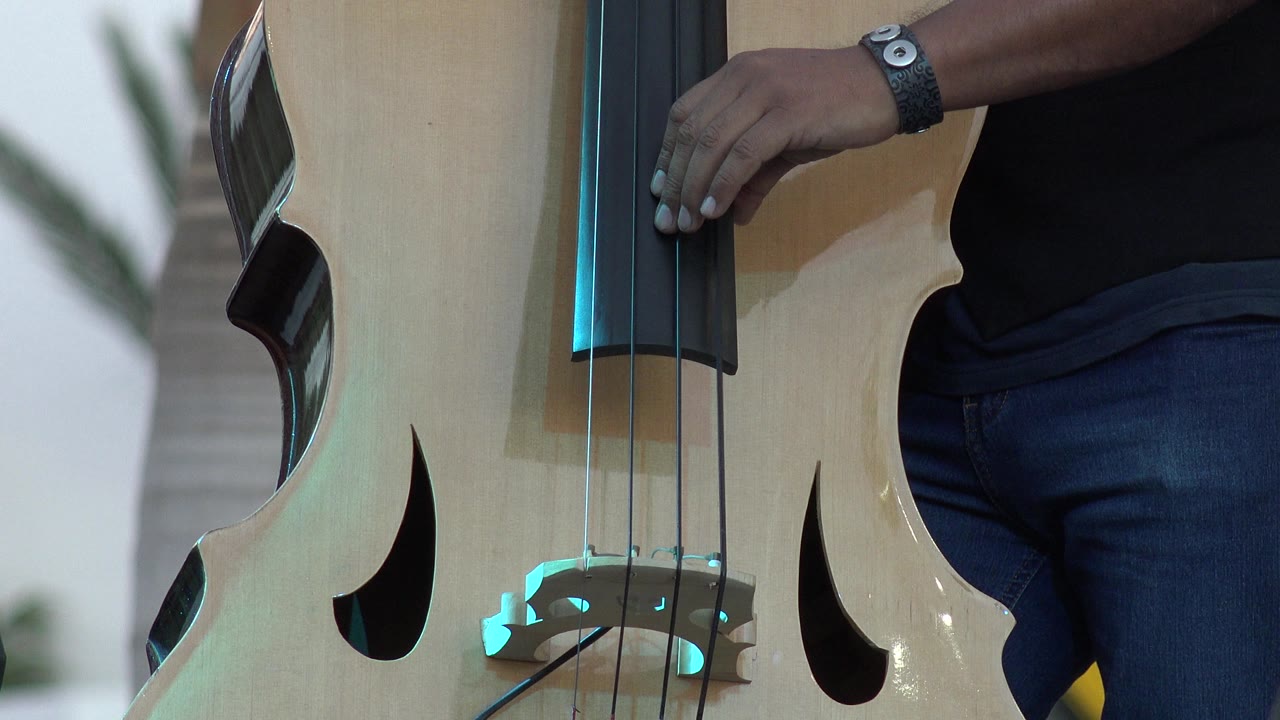 Musician's hand rests higher on the double bass fingerboard.