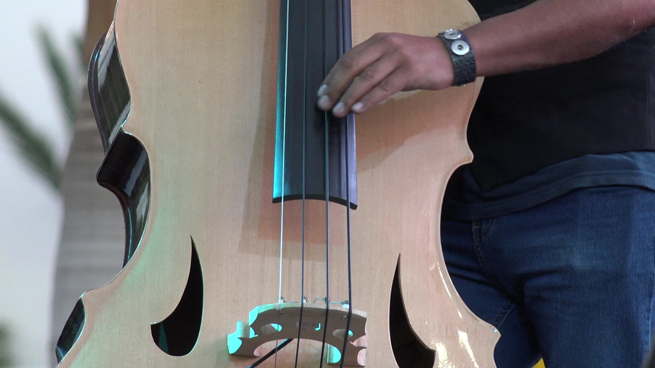A slightly later Los Cabos, Mexico frame shows the player's hand closer to the strings on the upright bass, with turquoise reflections near the bridge.