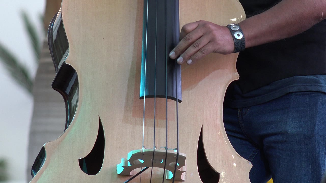 Cropped musician hand and torso beside a double bass.