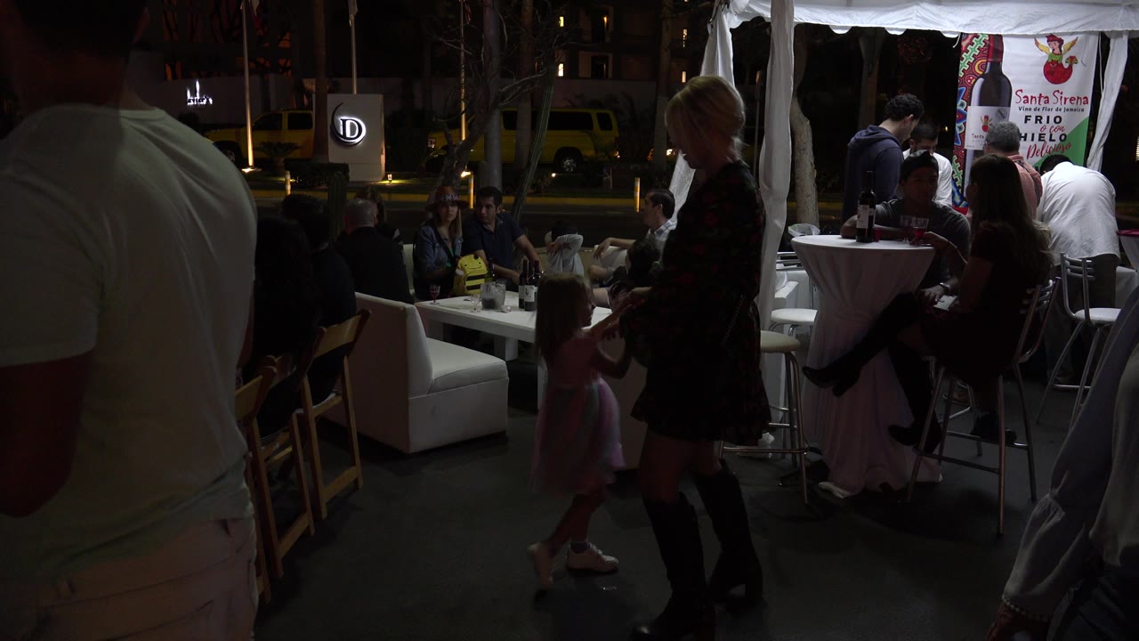 Dim restaurant scene with a child in a pink dress near a woman and seated guests.