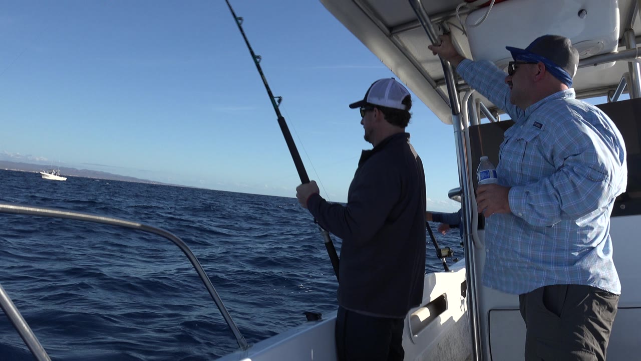 At 0:01 in Los Cabos, Mexico, the fishing rod angles upward near the left side of frame while two men remain under the boat canopy facing the water.