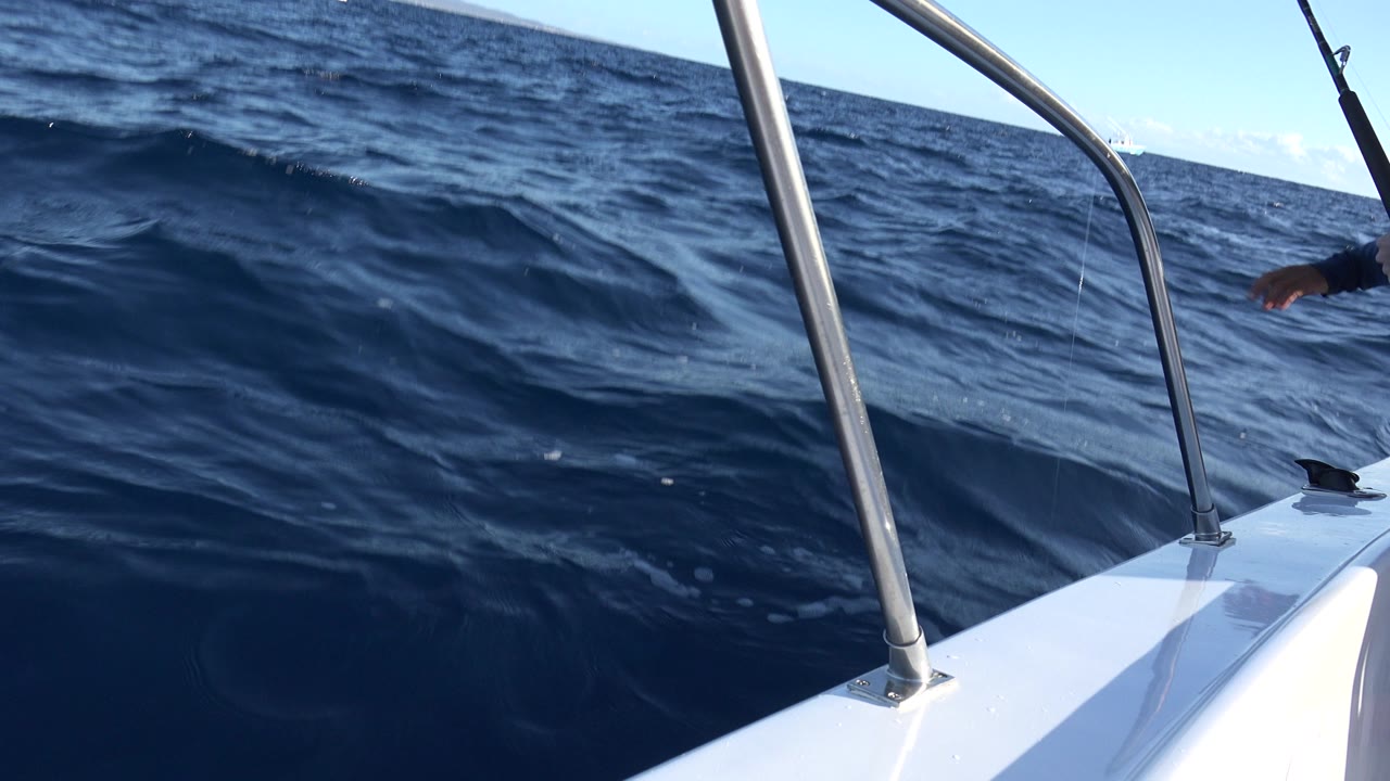 A fishing rod and white boat rail sit above rolling blue water off Los Cabos, Mexico, with only a small partial arm visible near the edge.