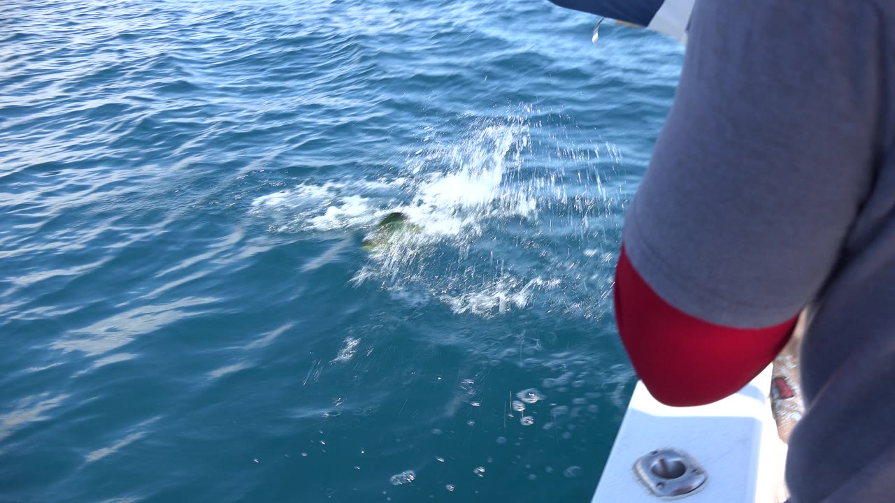 Fish splashes near the boat while part of an adult stands at the edge.