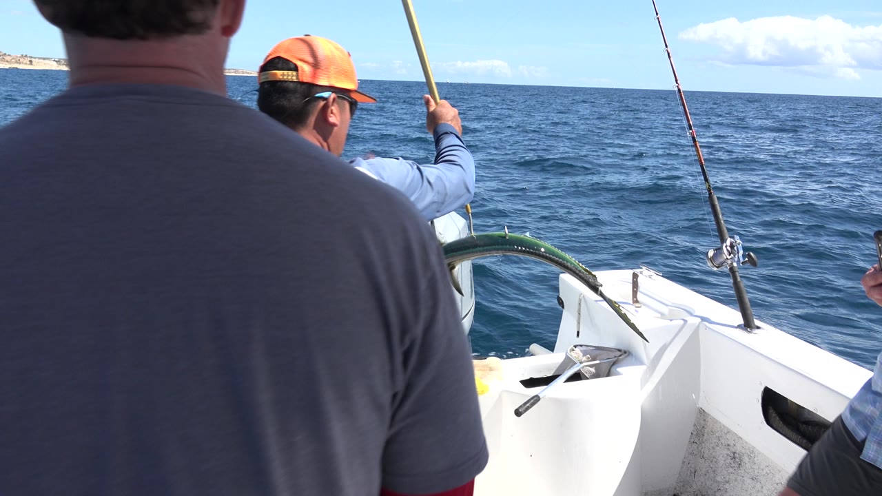 Fishermen on a white boat with rods over the sea.