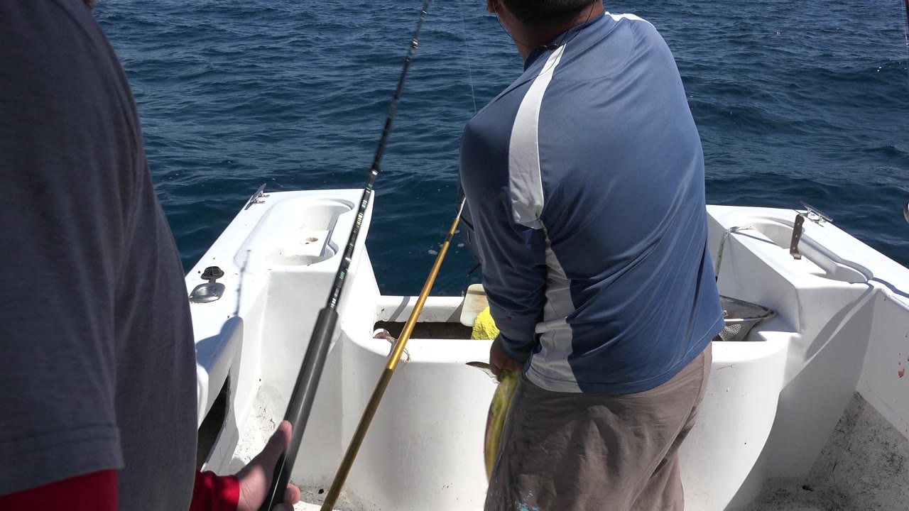 Fisherman on a white boat holding a fish near fishing rods and open water.