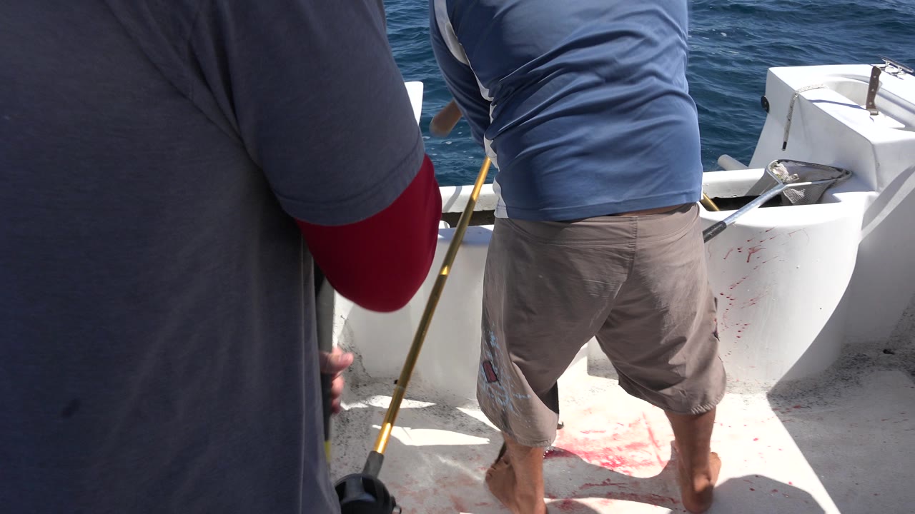 Two anglers on a white boat deck with fishing rods near blue water.