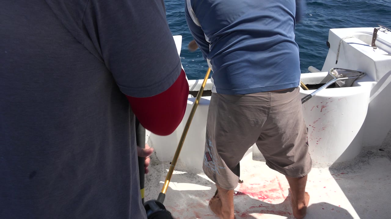 The anglers remain framed from behind on the Los Cabos boat deck, with the left person partly blocking the view and the right person standing near the stern rail over blue water.