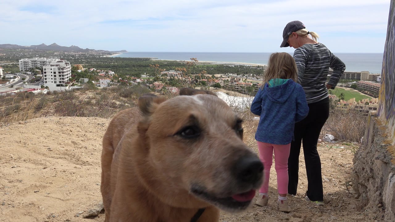 Tan dog close to camera with woman and child facing a coastal view.