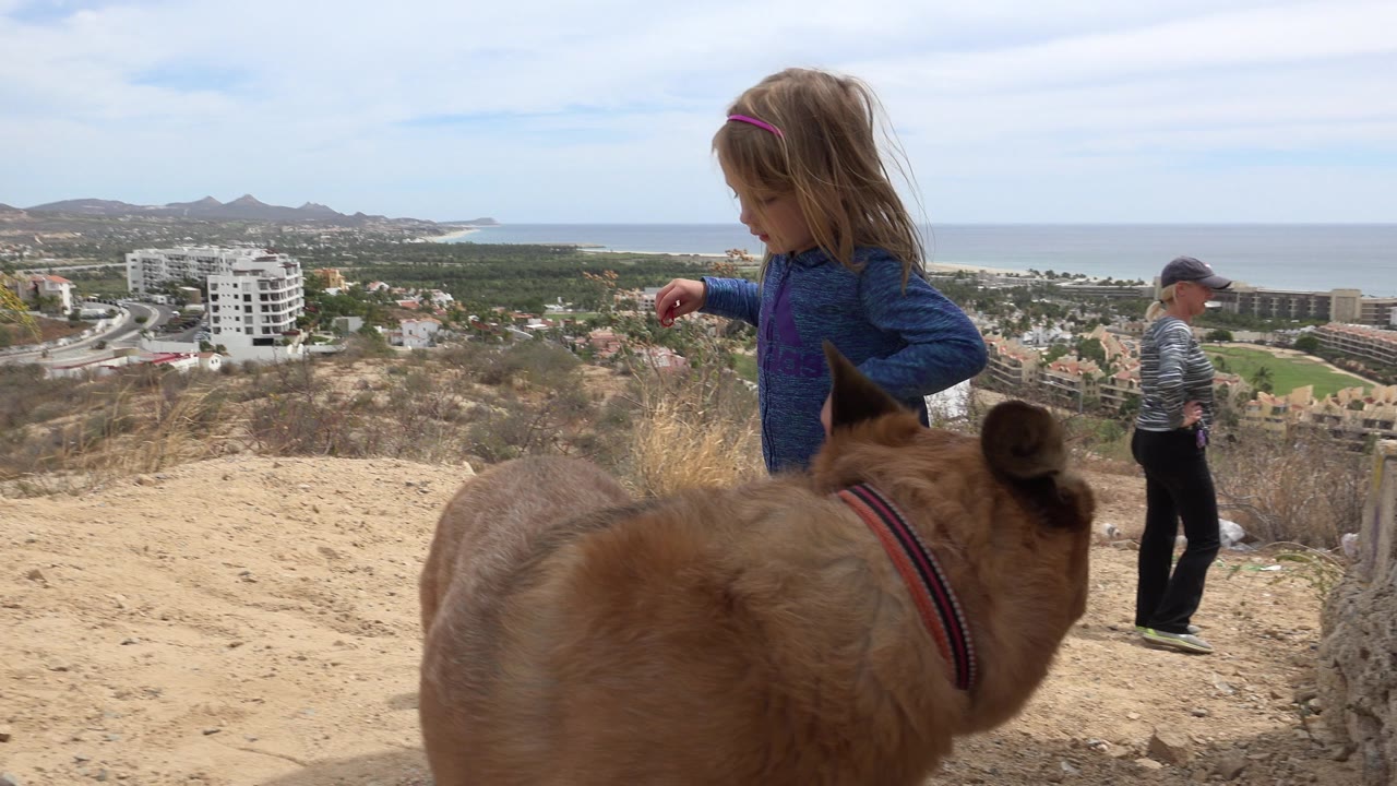 A young girl stands beside a tan dog in the foreground on a dry hillside in Los Cabos, Mexico, with another child, buildings, hills, ocean, and pale sky behind them.