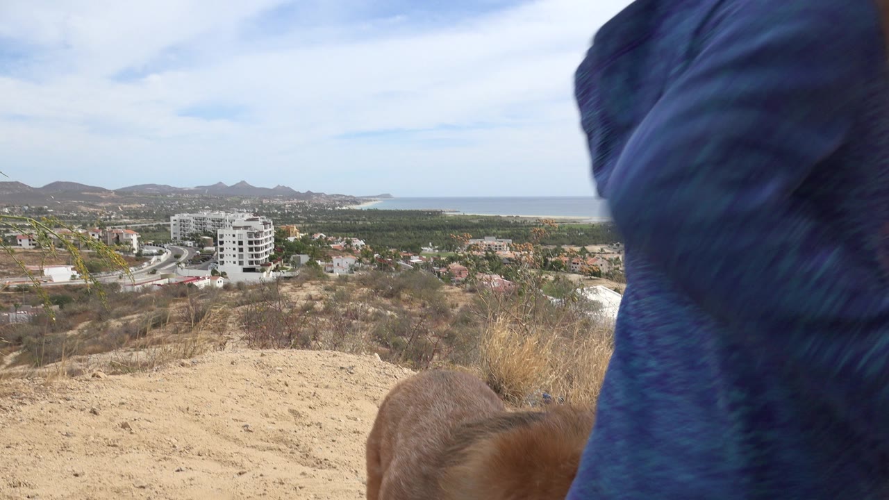 Coastal overlook partly blocked by a blue sleeve and a tan dog.