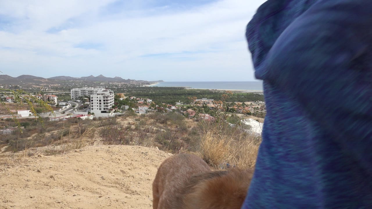 At 0:01 in Los Cabos, Mexico, the tan dog remains low in the foreground beside blue clothing, with dry hillside ground, scattered buildings, roads, hills, and the sea beyond.