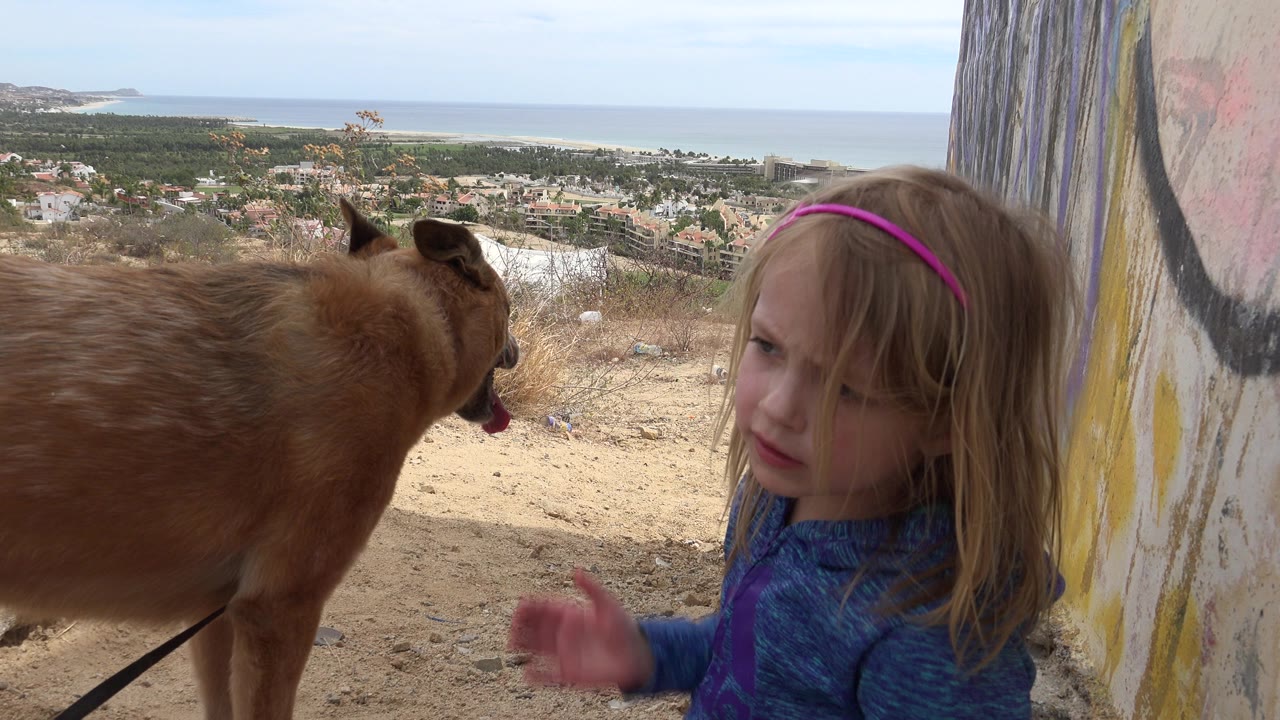 Young girl beside a brown dog at a coastal overlook.