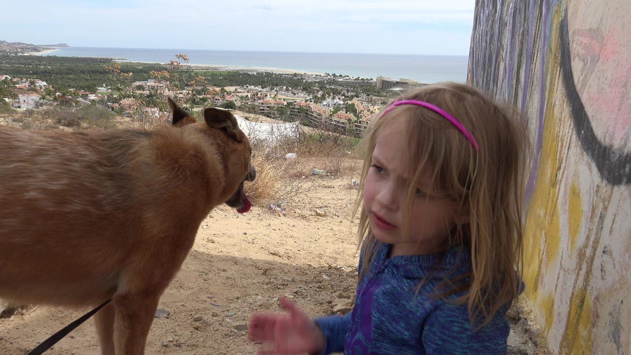 The young girl remains near the painted wall while the brown dog stands to her left, with Los Cabos buildings, vegetation, and ocean visible across the background.